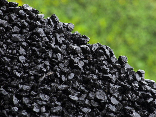 “Than sạch” rẻ hơn năng lượng tái tạo trong giảm lượng khí thải carbon ảnh 1