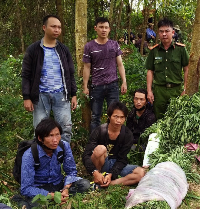 Nhập mô tả cho ảnhBa đối tượng trồng cây thuốc phiện (ngồi) bị tạm giữ hình sự cùng số tang vật. (Ảnh: TTXVN) Phú Yên: Phát hiện, bắt giữ nhóm đối tượng trồng cây thuốc phiện ảnh 1