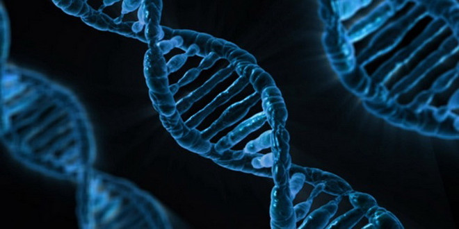 Các nhà khoa học Italy đạt bước tiến lớn trong công nghệ chỉnh gen ảnh 1