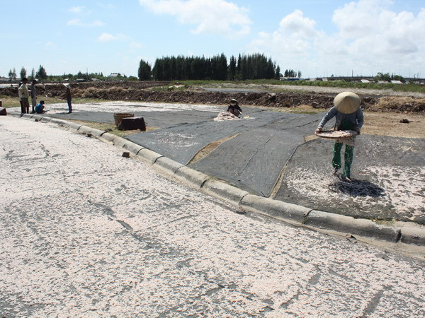 Ngư dân ven biển Bạc Liêu trúng đậm vụ ruốc đầu năm ảnh 1