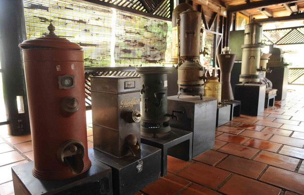 Lào mở rộng diện tích trồng càphê lên 130.000 ha vào năm 2025 ảnh 1