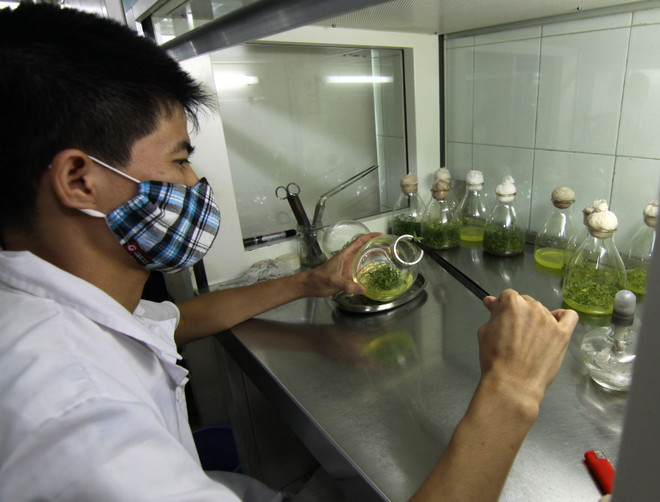 Người dân khó áp dụng thông tin khoa học-công nghệ vào thực tiễn ảnh 1