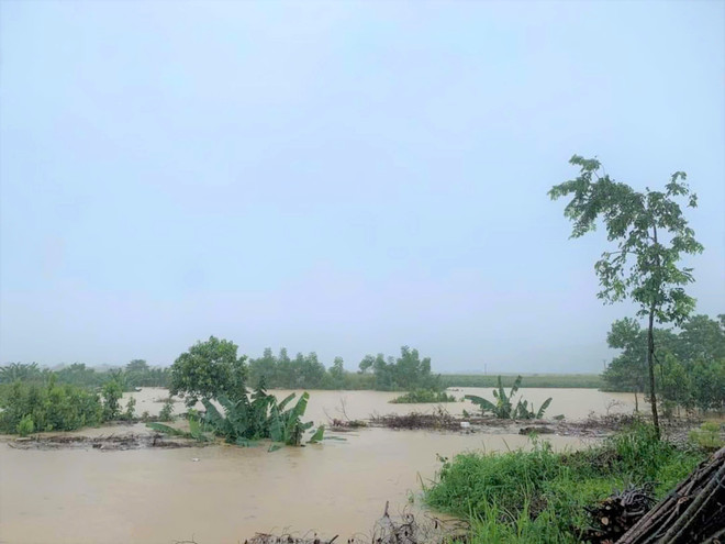 Mưa lũ do ảnh hưởng của cơn bão số 3 đã gây thiệt hại cho trên 600ha cây nông nghiệp ở Yên Bái. (Ảnh: TTXVN phát) mua lu_yen bai.jpg