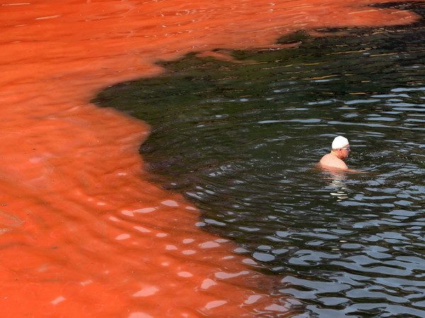 Thủy triều đỏ - "nỗi ám ảnh" của mùa du lịch biển Florida ảnh 1