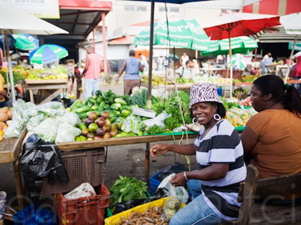 Bất bình đẳng xã hội làm gia tăng tội phạm ở khu vực Mỹ Latinh ảnh 1