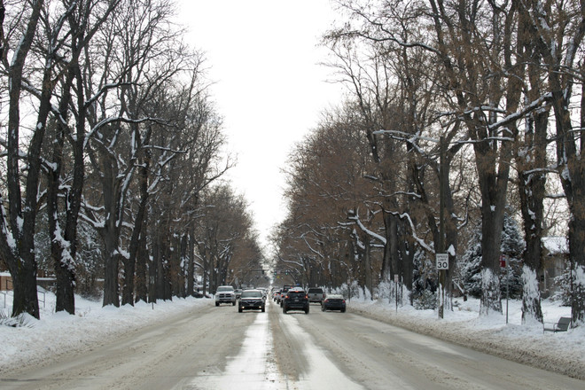 Mỹ: Bão tuyết khiến 1.000 người bị mắc kẹt tại bang Arizona ảnh 1