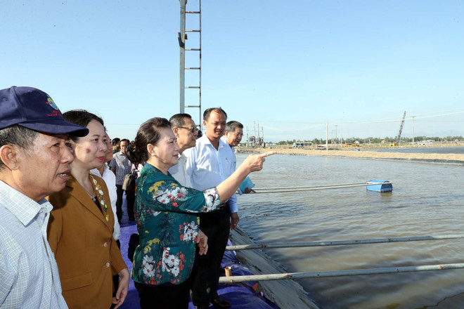 Chủ tịch Quốc hội Nguyễn Thị Kim Ngân đi thăm và khảo sát vùng nuôi cá tra ứng dụng công nghệ cao. (Ảnh: Trọng Đức/TTXVN) Chủ tịch Quốc hội Nguyễn Thị Kim Ngân thăm làm việc tại tỉnh An Giang ảnh 3