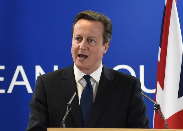 Thủ tướng Anh yêu cầu Nga ngừng hỗ trợ quân ly khai ở Ukraine ảnh 1