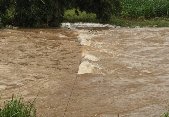 Đắk Nông: Nỗ lực tìm kiếm nạn nhân bị nước cuốn trên sông Krông Nô ảnh 1