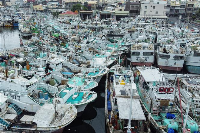 Trung Quốc đóng cửa trường học, hủy nhiều chuyến bay do bão Koinu ảnh 1