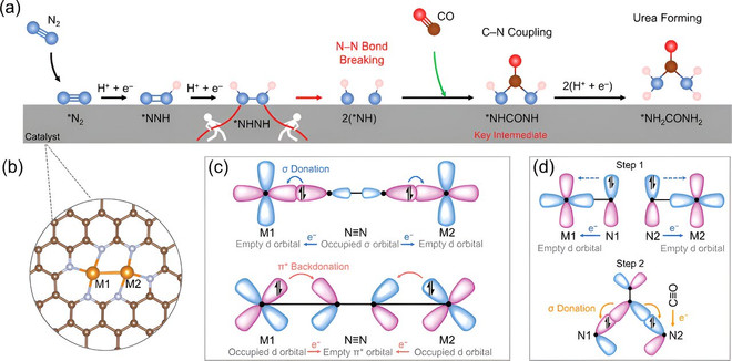 Khám phá phương pháp mới hứa hẹn bước tiến trong sản xuất ure ảnh 1