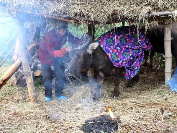 Vùng núi khu vực phía Bắc trời rét đậm, có nơi dưới 10 độ C ảnh 1