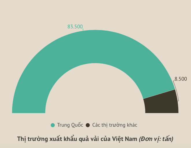 Gần 91% lượng vải xuất khẩu của Việt Nam là sang Trung Quốc ảnh 2