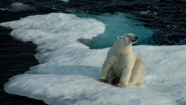 Bóng đen che phủ Hội nghị Ngoại trưởng Hội đồng Bắc Cực ảnh 1