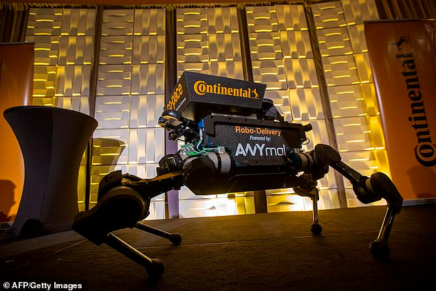 CES 2019: Sắp đến thời chó robot giao hàng thay cho con người? ảnh 1
