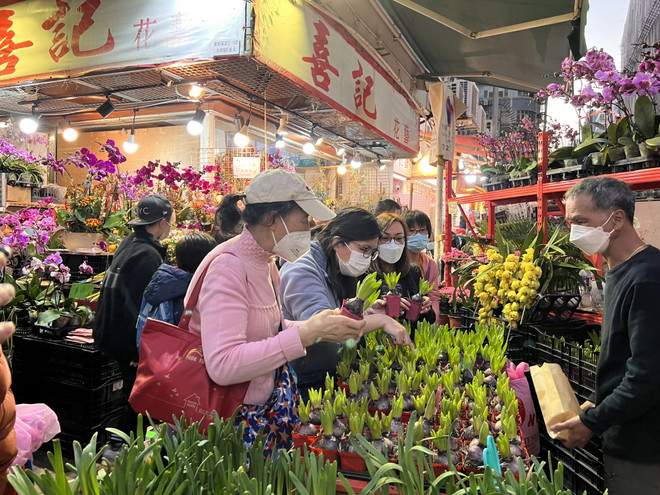 Chợ hoa Hong Kong khoe sắc Xuân, mang ước vọng Năm mới tốt lành ảnh 1