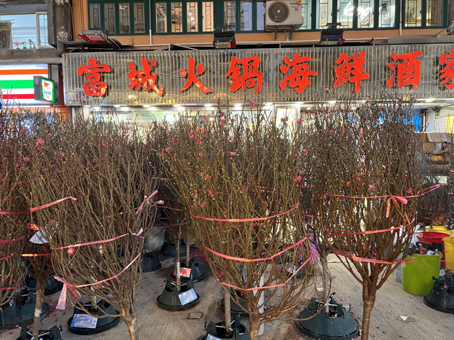 Chợ hoa Hong Kong khoe sắc Xuân, mang ước vọng Năm mới tốt lành ảnh 2