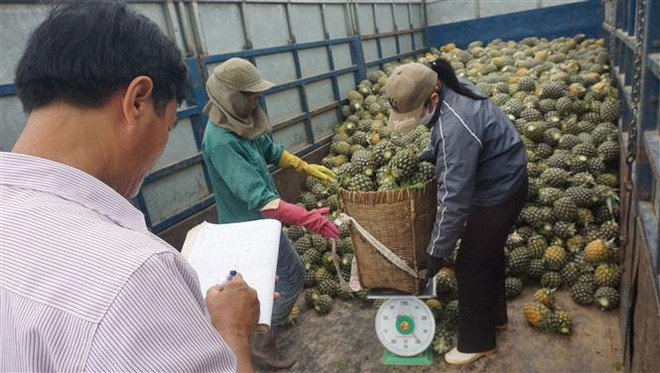 Nghệ An đứng trong nhóm tỉnh, thành phố có GRDP cao nhất cả nước ảnh 1