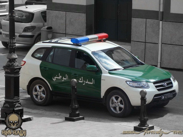 Algeria thành lập lực lượng chống lại các "hung thần đường phố" ảnh 1