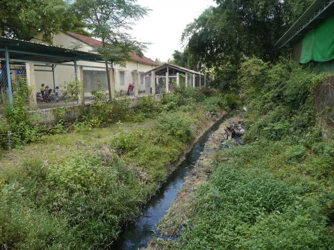 Bình Định: Cô, trò đeo khẩu trang trong giờ học vì ô nhiễm nước thải ảnh 1