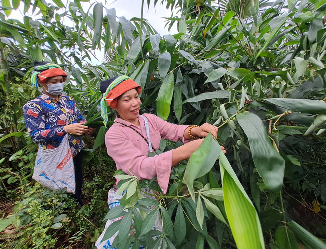 ha giang_la giang 2.jpg