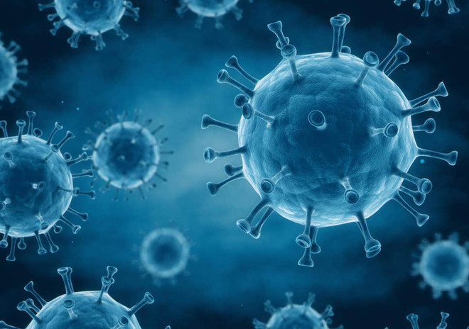 Ảnh minh họa. (Nguồn: independent) Phát hiện chủng virus HIV mới tại Cộng hòa Dân chủ Congo ảnh 1