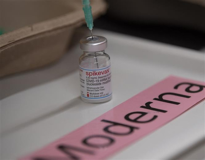 Vaccine Spikevax phòng COVID-19 của hãng Moderna. (Ảnh: AFP/TTXVN) Australia tiêm vaccine Spikevax của Moderna cho trẻ em từ 6-11 tuổi ảnh 1