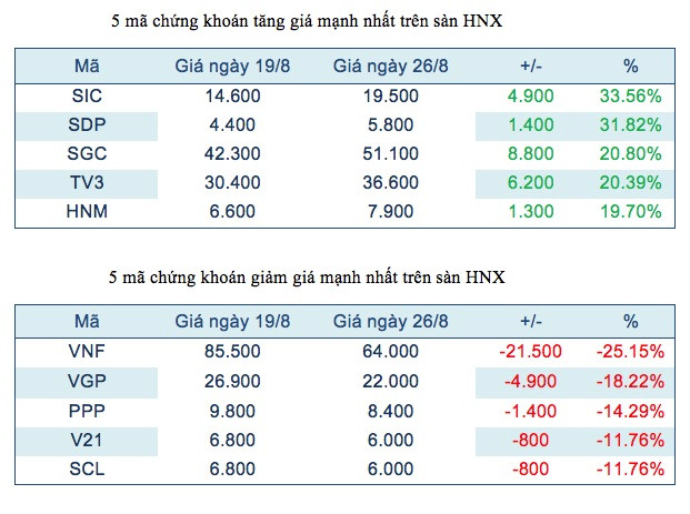 Gỗ Trường Thành thoát khỏi chuỗi ngày lao dốc ám ảnh ảnh 3