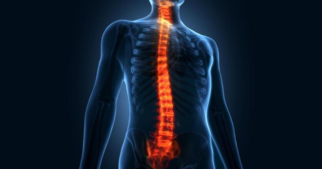 Hướng dẫn sơ cứu đúng cách với bệnh nhân bị chấn thương cột sống ảnh 1