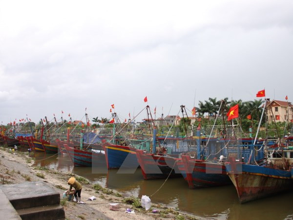 Việt Nam vay Quỹ Kuwait hơn 9 triệu USD ứng phó biến đổi khí hậu ảnh 1