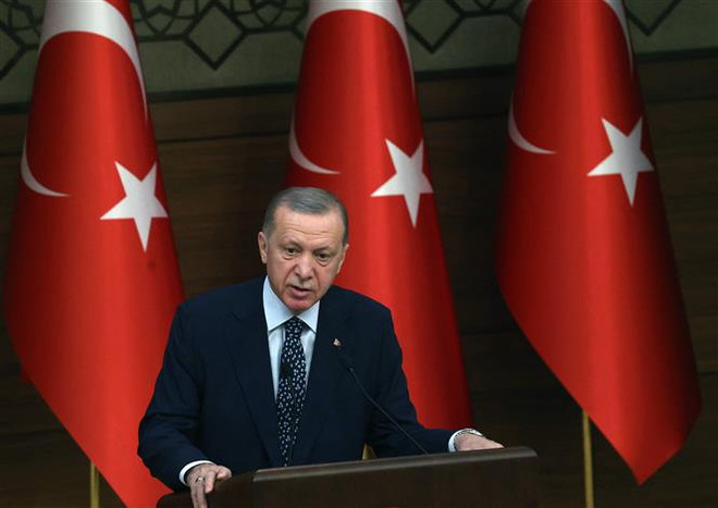 Tổng thống Thổ Nhĩ Kỳ Erdogan cam kết xây dựng Hiến pháp mới ảnh 1