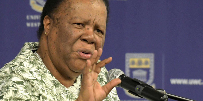 Nam Phi trấn an quan ngại của quốc tế về tình trạng bài ngoại ảnh 1