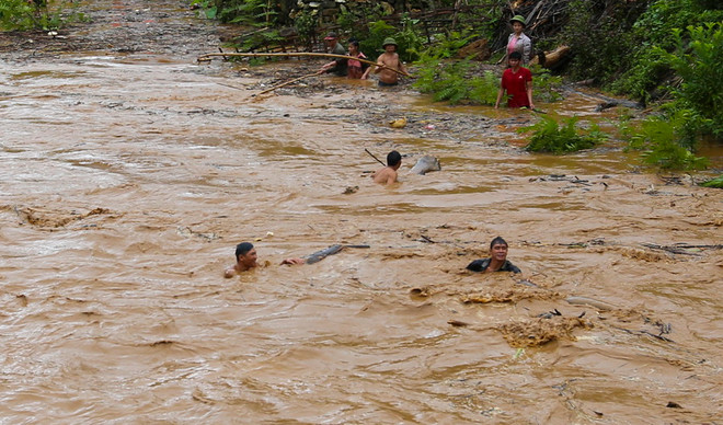 Điện Biên: Bất chấp nước lũ, người dân mạo hiểm xuống suối vớt củi ảnh 2