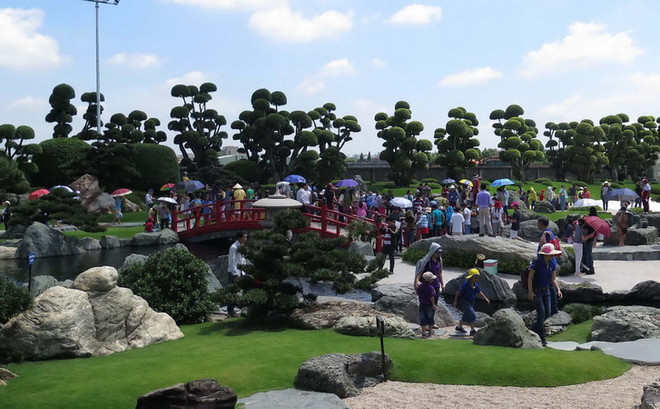 TP.HCM: Chiêm ngưỡng vẻ đẹp của 200 con cá Koi Nhật Bản ảnh 4