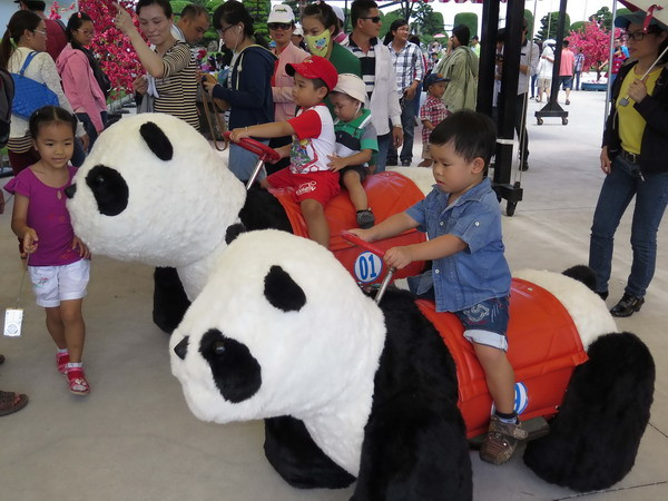 TP.HCM: Chiêm ngưỡng vẻ đẹp của 200 con cá Koi Nhật Bản ảnh 3