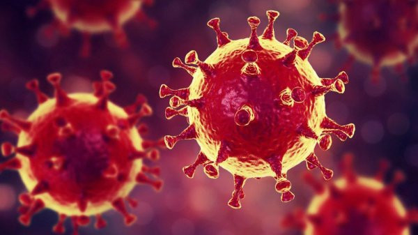 Ảnh minh họa. (Nguồn: En Son Haber) Các nhà khoa học Brazil phát hiện chủng virus mới có nguồn gốc amip ảnh 1