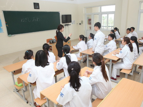 Nhật Bản mở trang web tìm kiếm và thu hút nhân tài Việt Nam ảnh 1