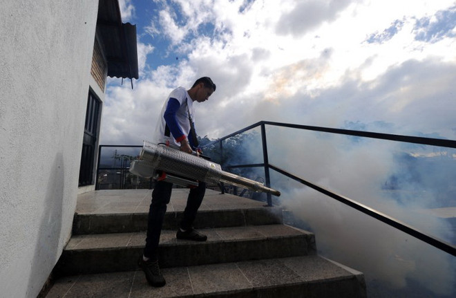 Honduras phát hiện bệnh nhân đầu tiên liên quan tới virus Zika ảnh 1