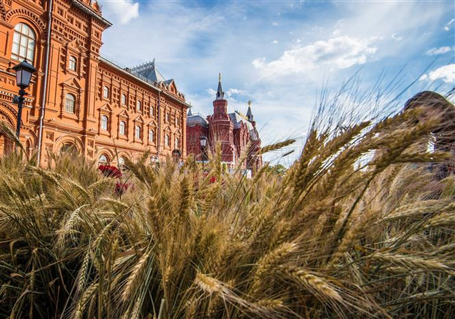 Cuba quan tâm đến việc nhập khẩu thực phẩm và phân bón của Nga ảnh 1