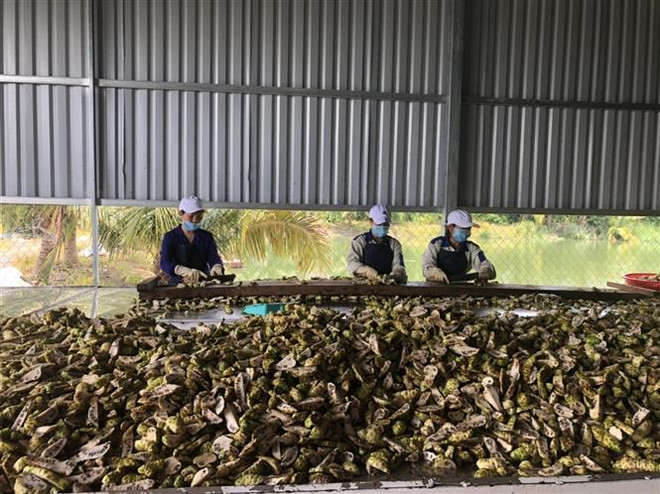 Bà Rịa-Vũng Tàu: Phát triển đa dạng ngành nghề để tạo hiệu quả kép ảnh 3