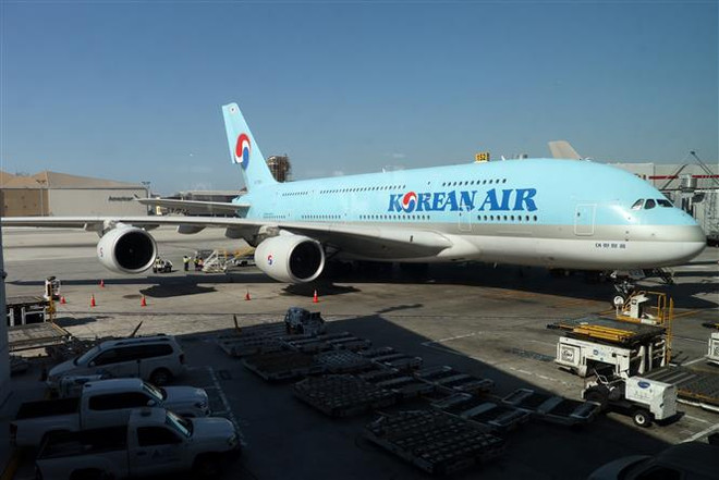 Korean Air sẽ ngừng sử dụng máy bay cỡ lớn trong 10 năm tới ảnh 1
