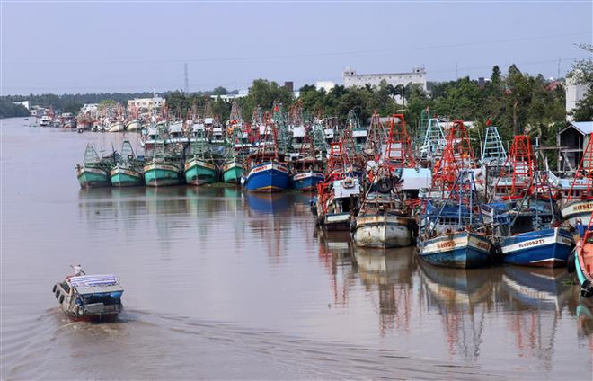 Nhiều tàu cá đã nằm bờ 3-4 tháng nay do giá xăng tăng cao. (Ảnh: Lê Huy Hải/TTXVN) Xăng dầu liên tục tăng giá: Áp lực lớn với nhiều ngành hàng, sản xuất ảnh 3