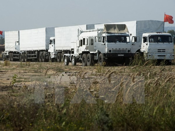 Nga lập đoàn xe viện trợ nhân đạo thứ 11 đến Đông Ukraine ảnh 1