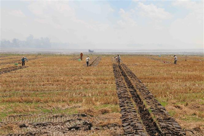 Chuyển mục đích sử dụng đất để thực hiện dự án công nghiệp tại Hà Nội ảnh 1