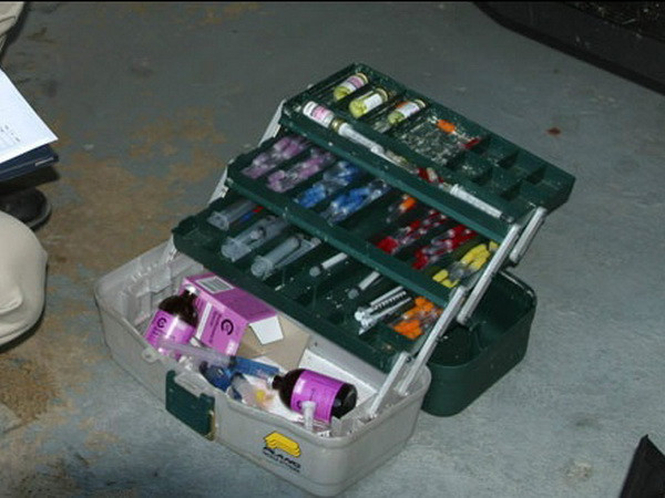 Tổ chức bảo vệ động vật PETA ủng hộ giết hại động vật ảnh 1