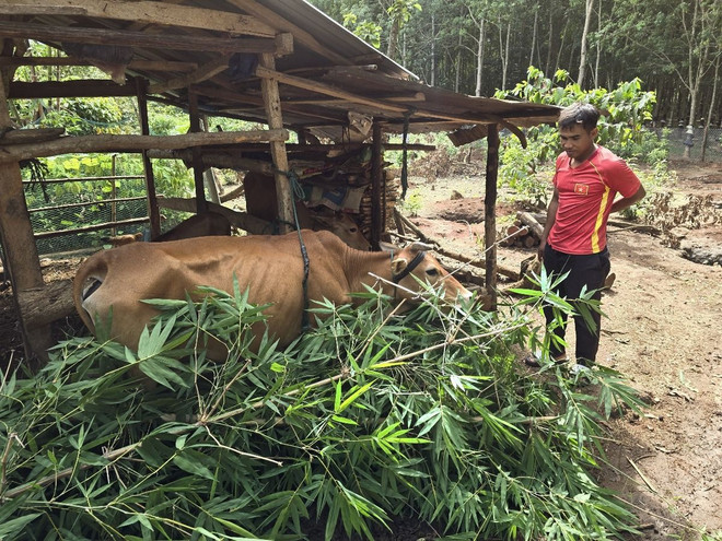 kon tum_dong bao thieu so 3.jpg