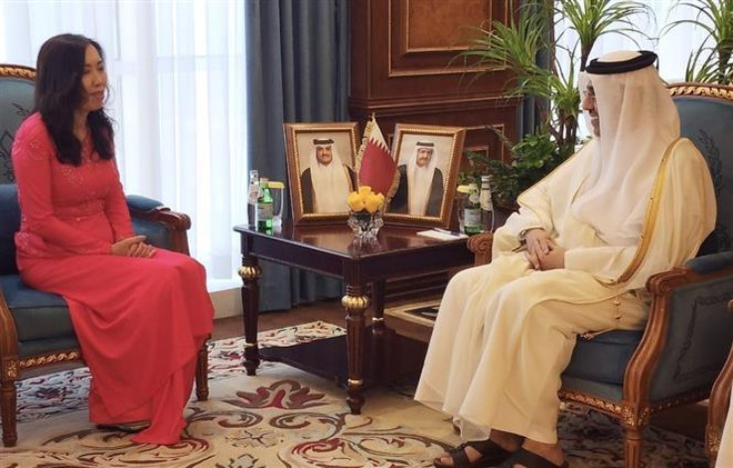 Nâng cao hơn nữa hiệu quả hợp tác Việt Nam-Qatar trong thời gian tới ảnh 3