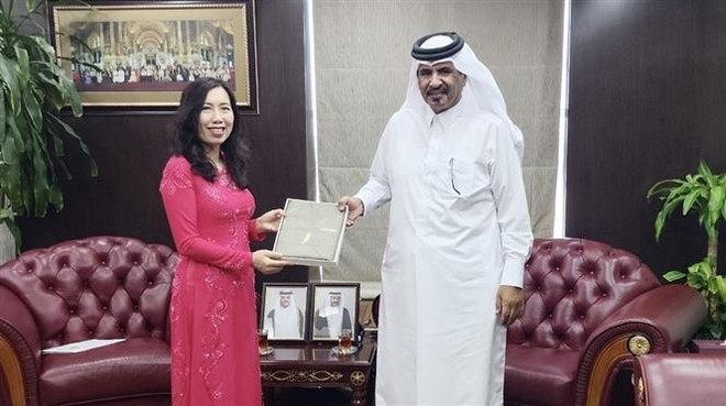 Nâng cao hơn nữa hiệu quả hợp tác Việt Nam-Qatar trong thời gian tới ảnh 2