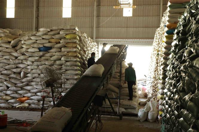 Ngành hàng lúa gạo cần thêm trợ lực để chuyển từ "lượng" sang "chất" ảnh 2