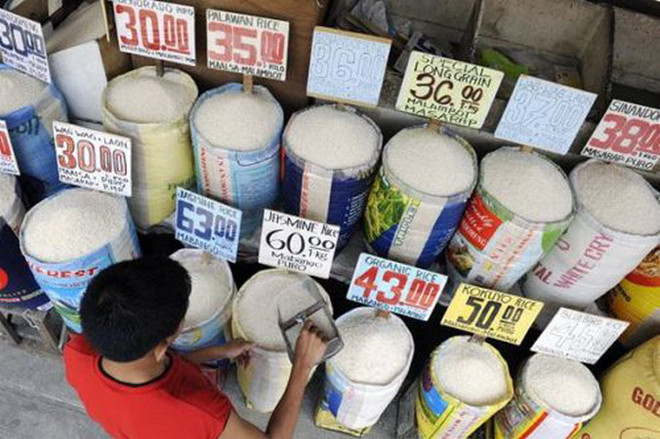 Nhật Bản nhập khẩu ít gạo miễn thuế nhất trong vòng 20 năm ảnh 1